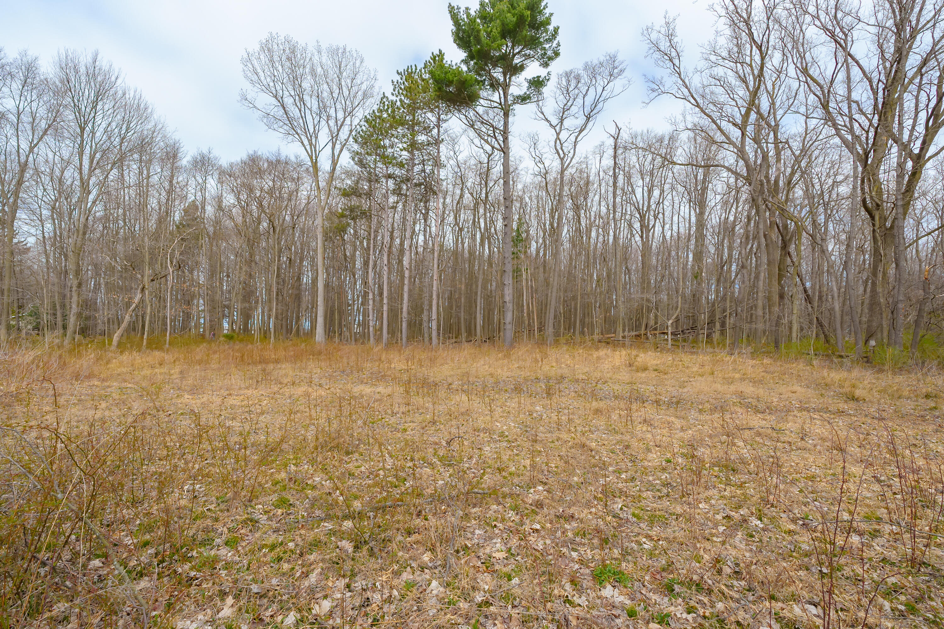 4890 M-63 Coloma MI 49038