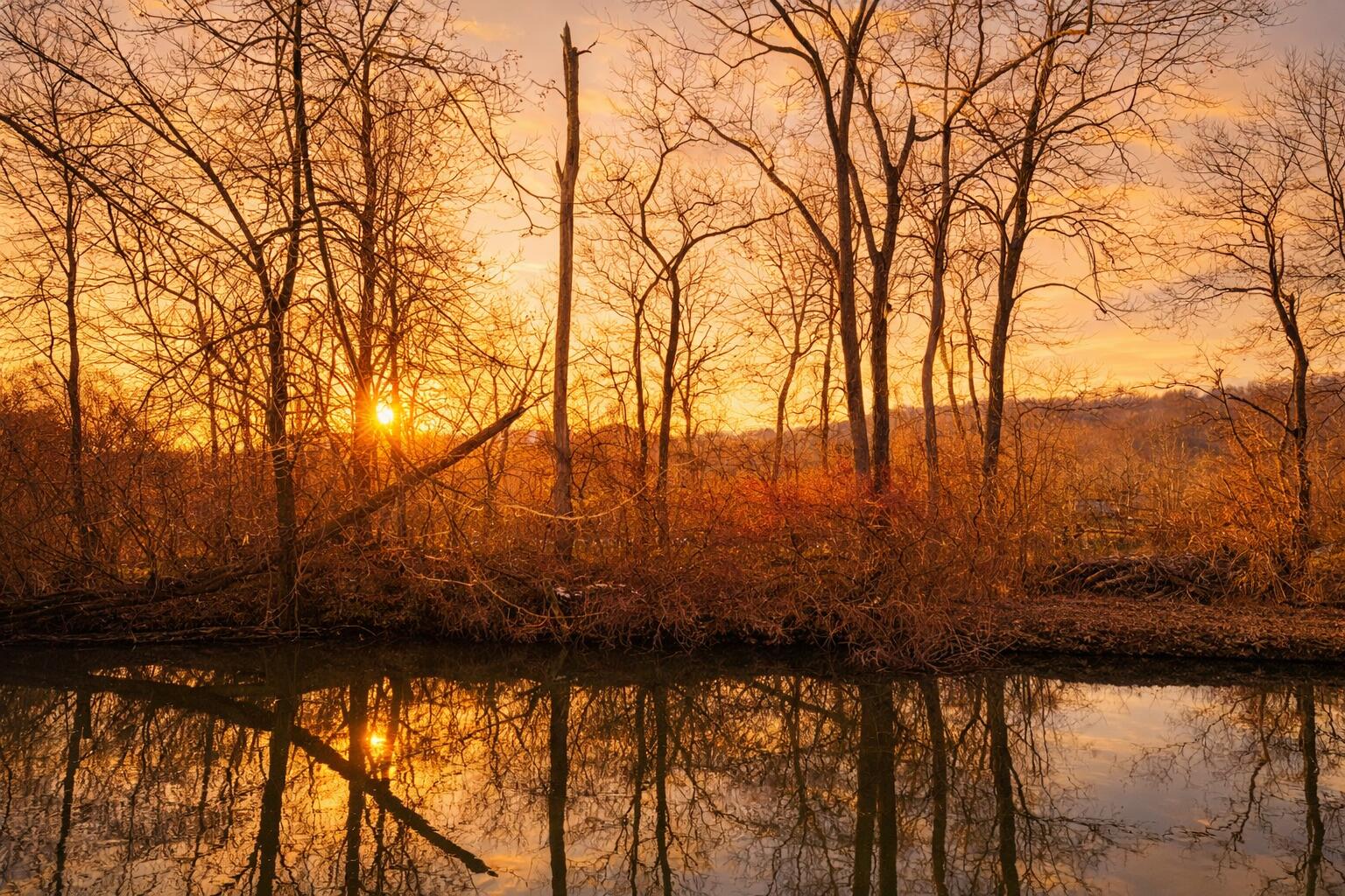 E River Road Buchanan MI 49107