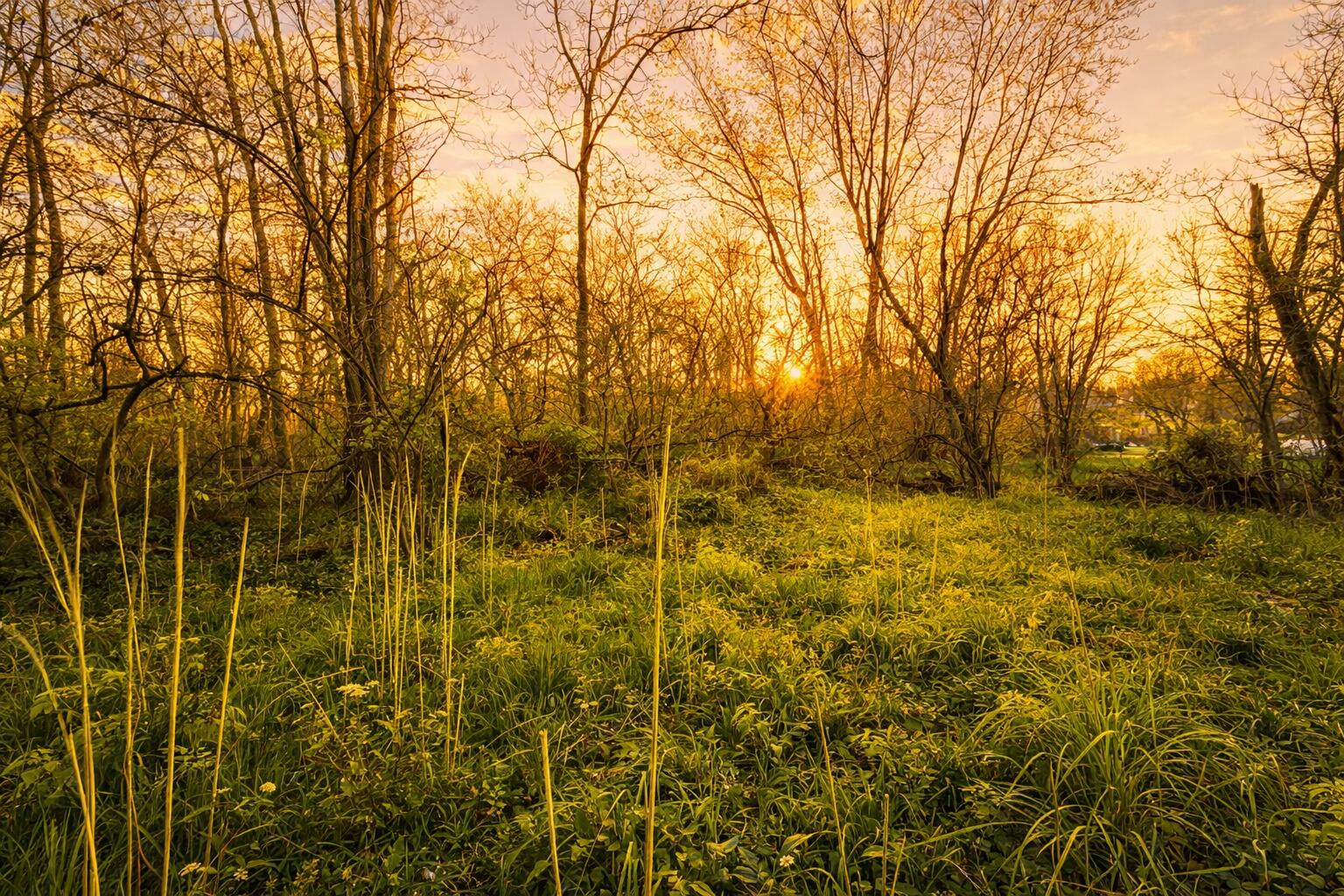 E River Road Buchanan MI 49107