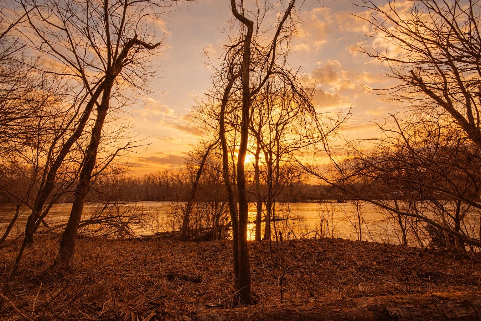 E River Road Buchanan MI 49107