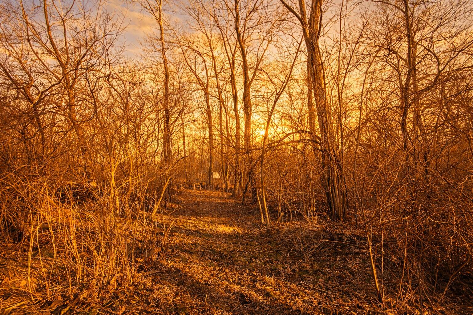 E River Road Buchanan MI 49107