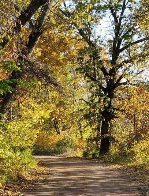 E River Road Buchanan MI 49107