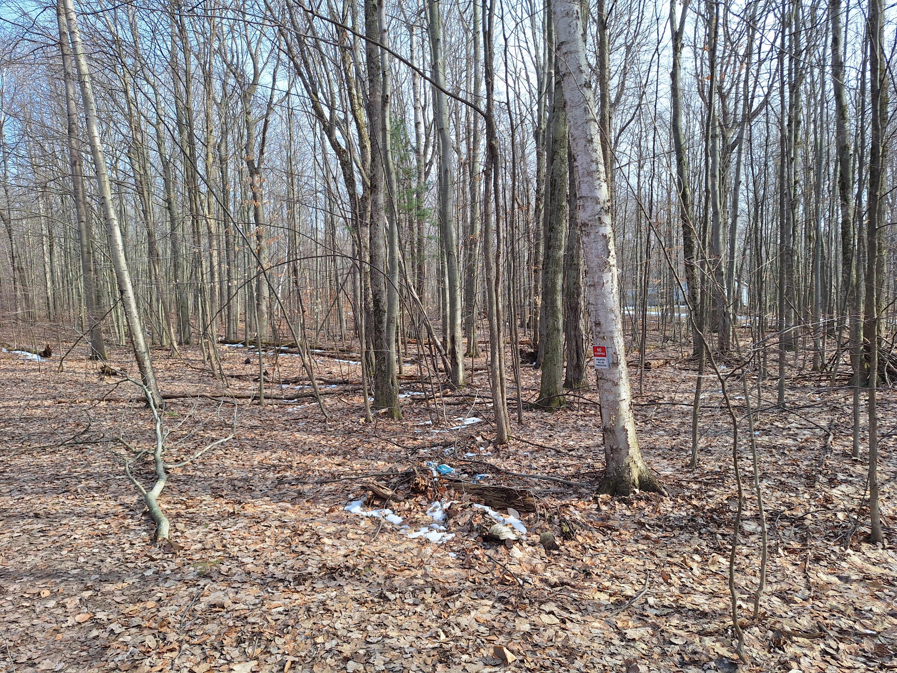 V/l Birch Street Ludington MI 49431