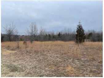 6533 Harvey Street Norton Shores MI 49444