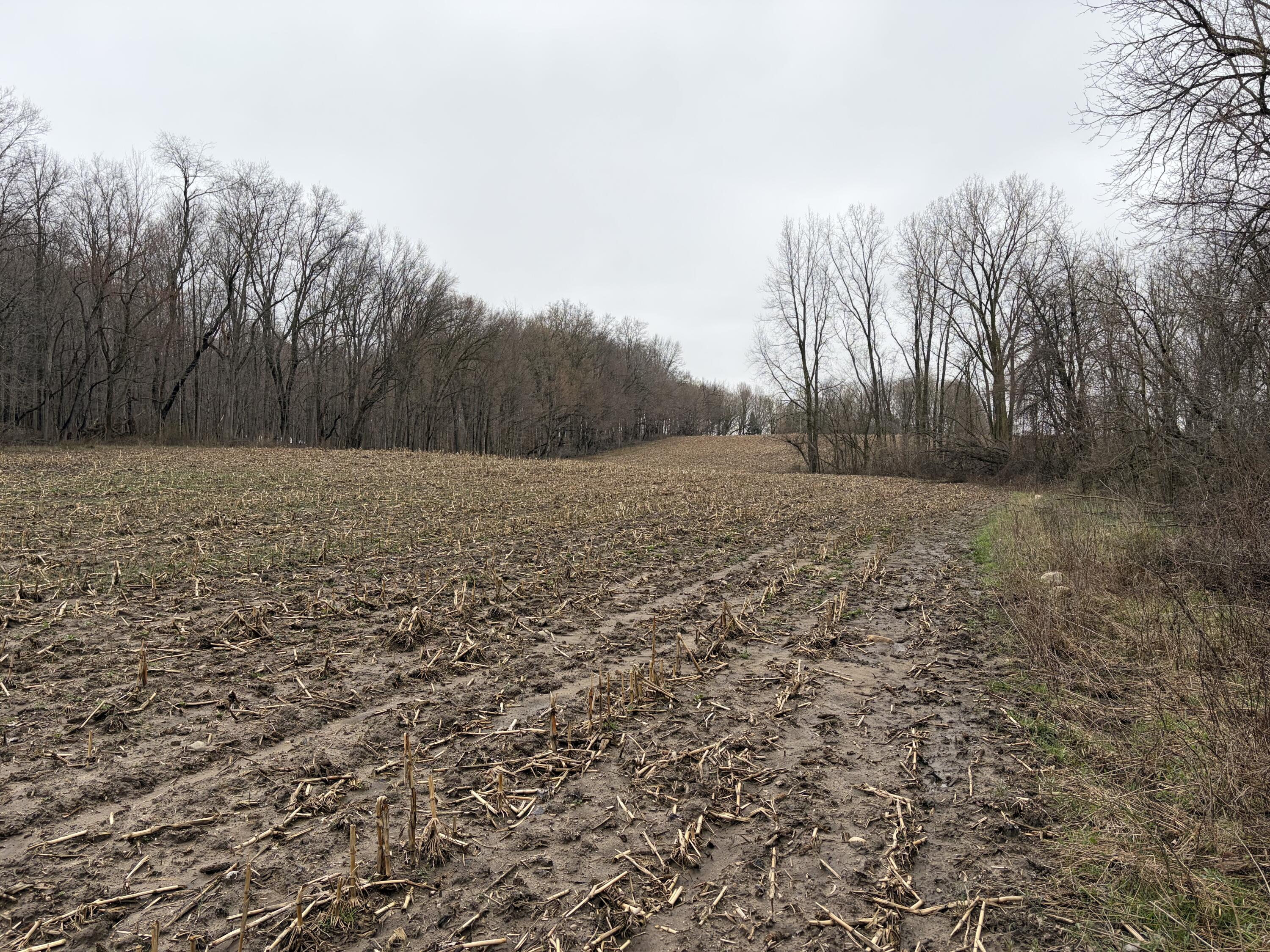 665 92nd Street SW Byron Center MI 49315
