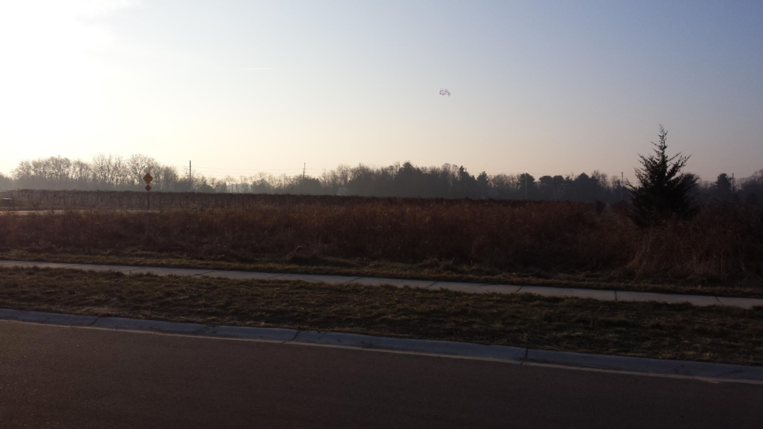6269 Lara Lane Stevensville MI 49127