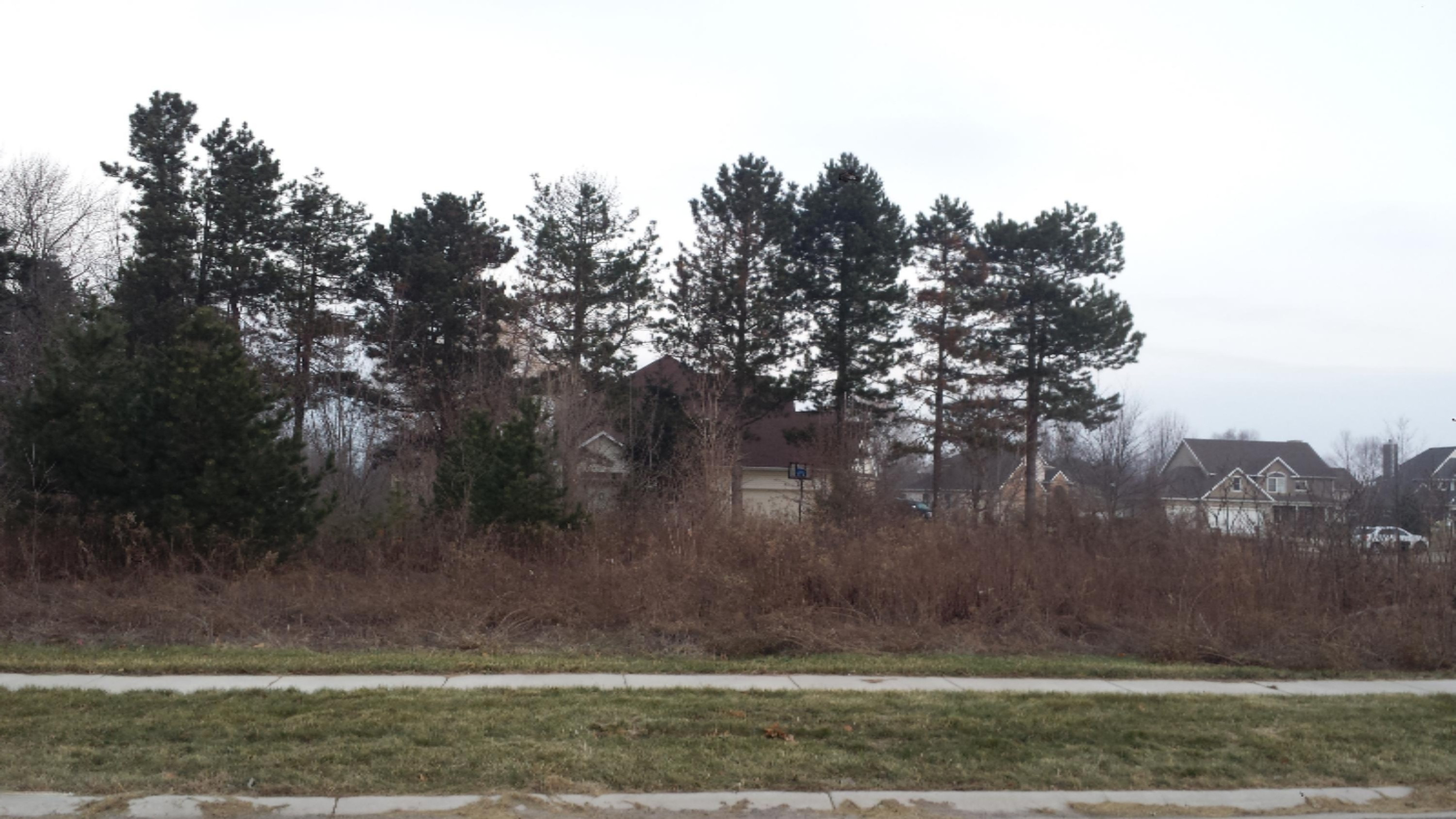 6269 Lara Lane Stevensville MI 49127