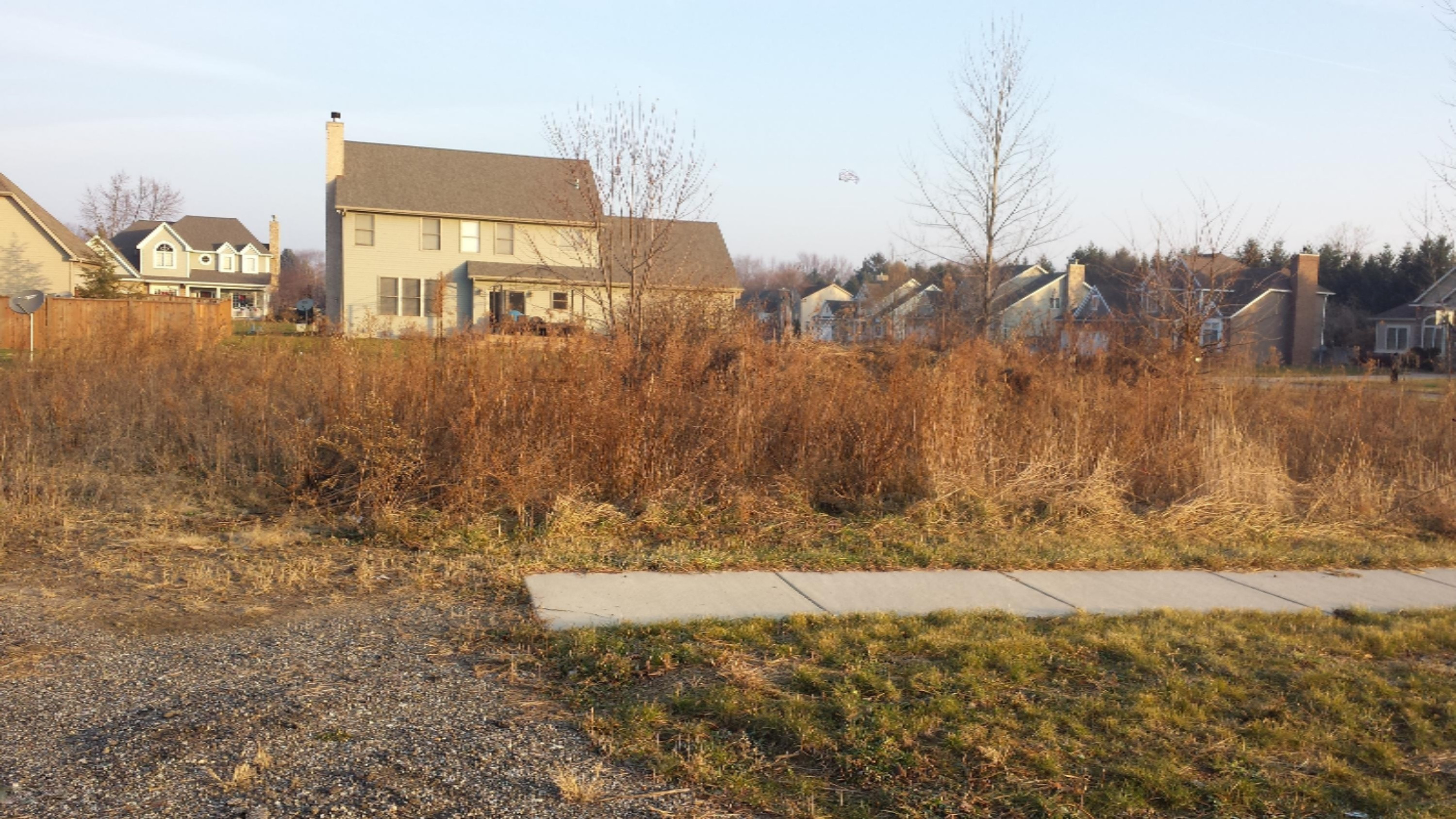 6269 Lara Lane Stevensville MI 49127