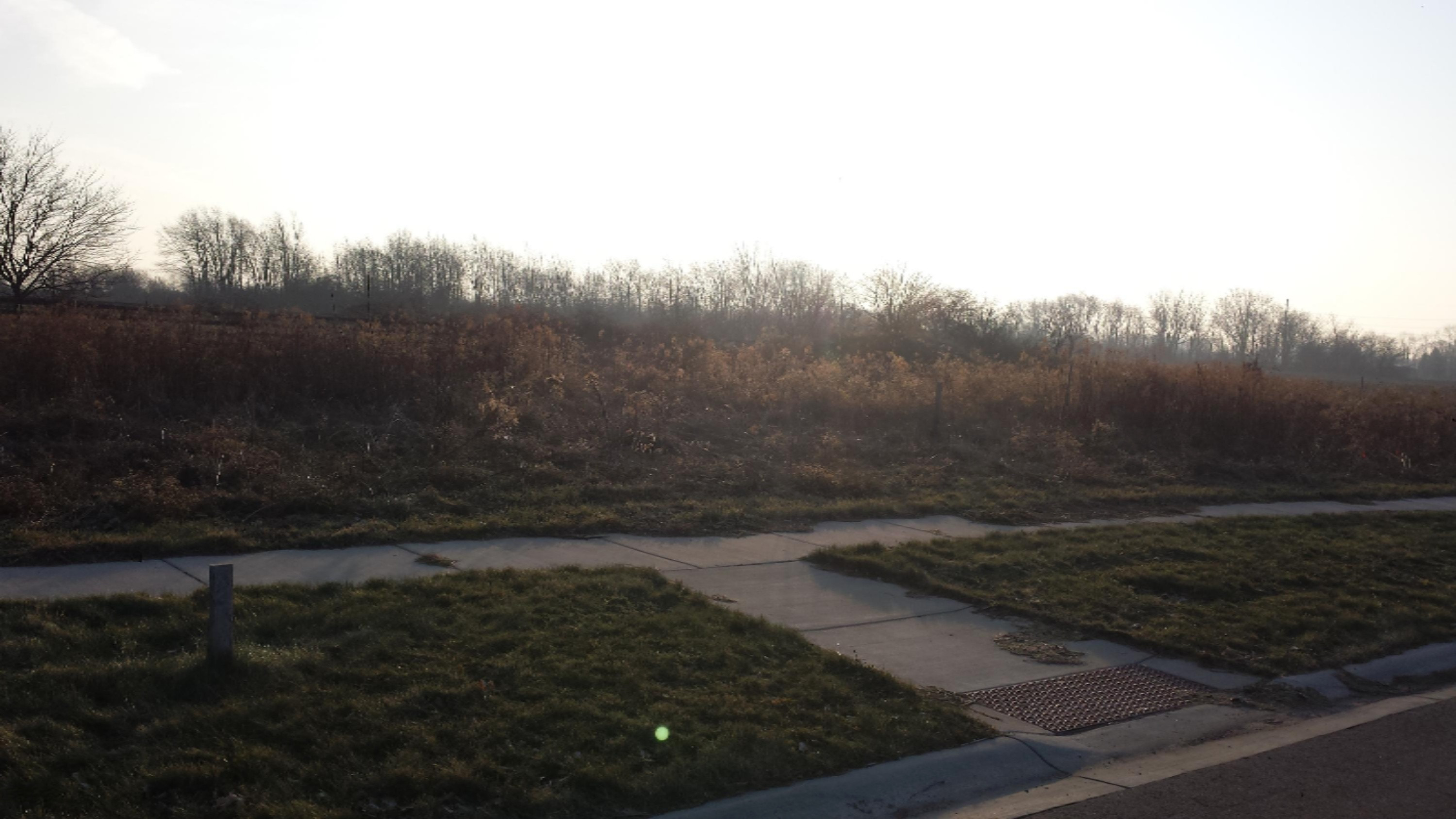 6269 Lara Lane Stevensville MI 49127