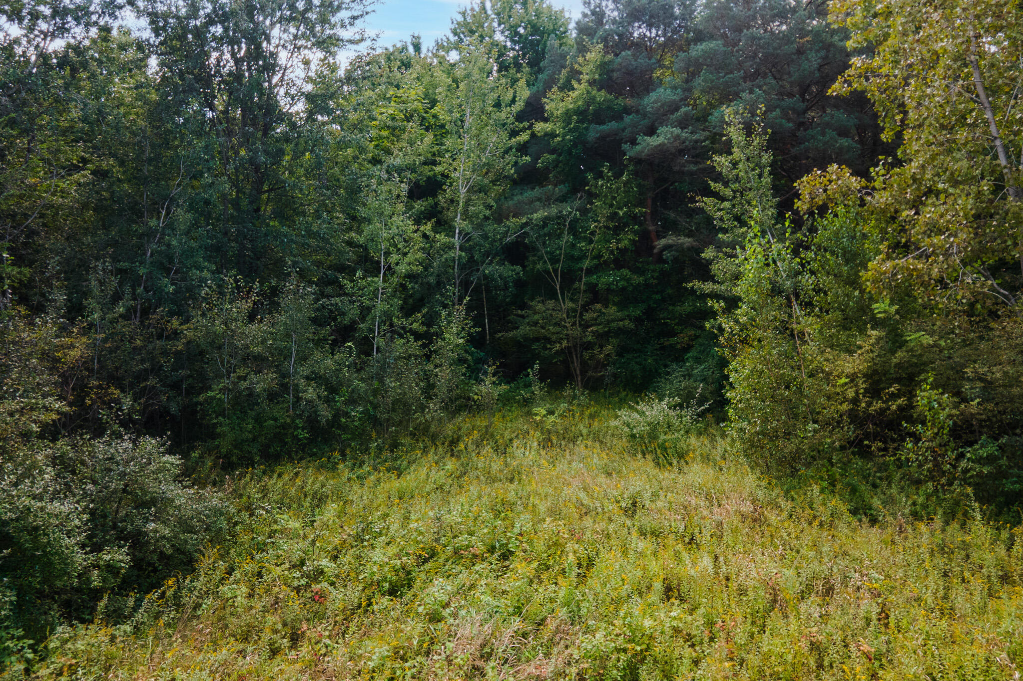 M 140 Highway Covert MI 49043