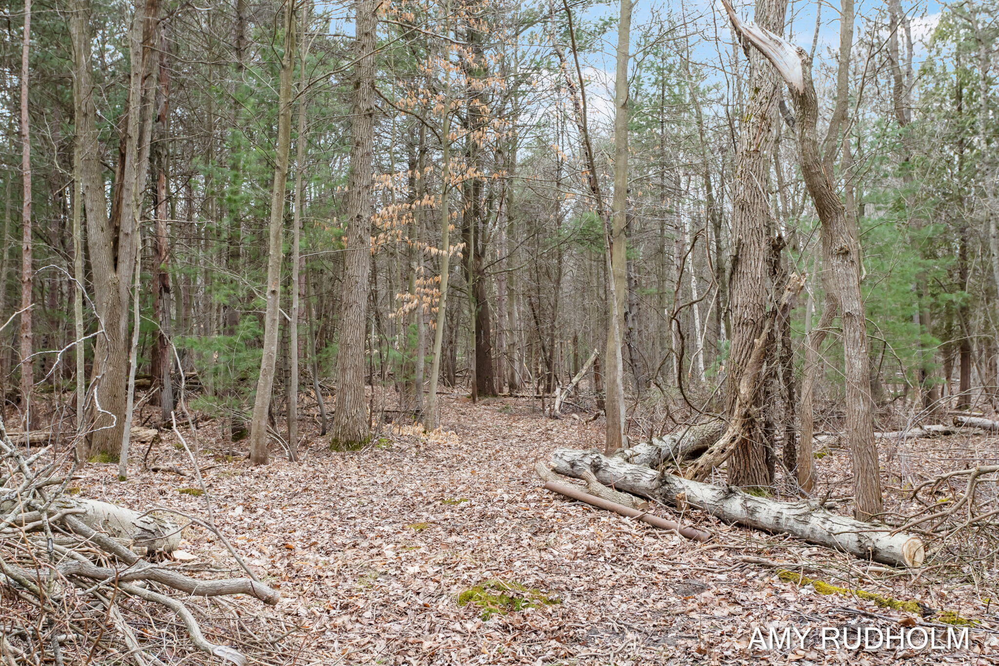 5579 Martin Road Norton Shores MI 49441