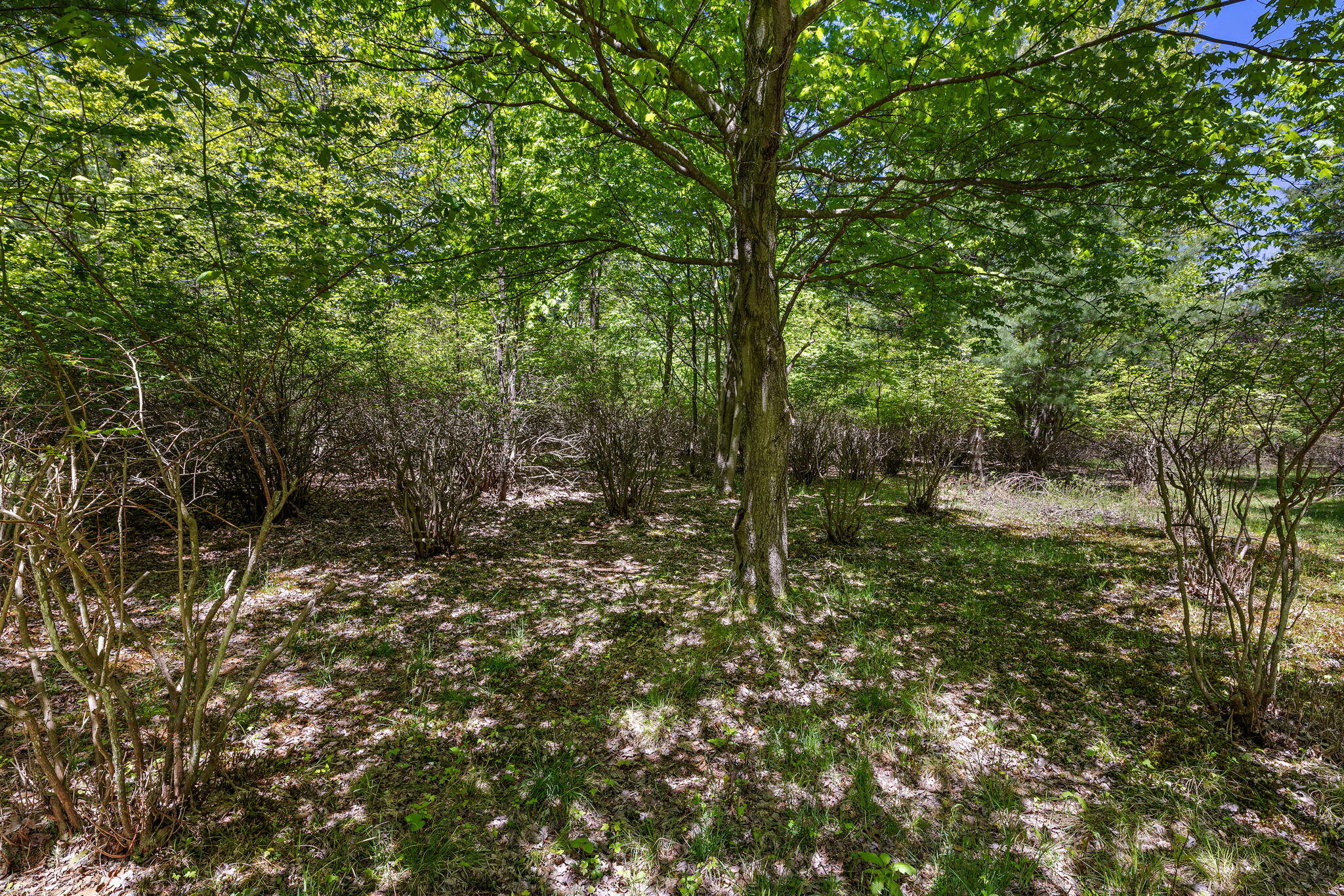 5579 Martin Road Norton Shores MI 49441