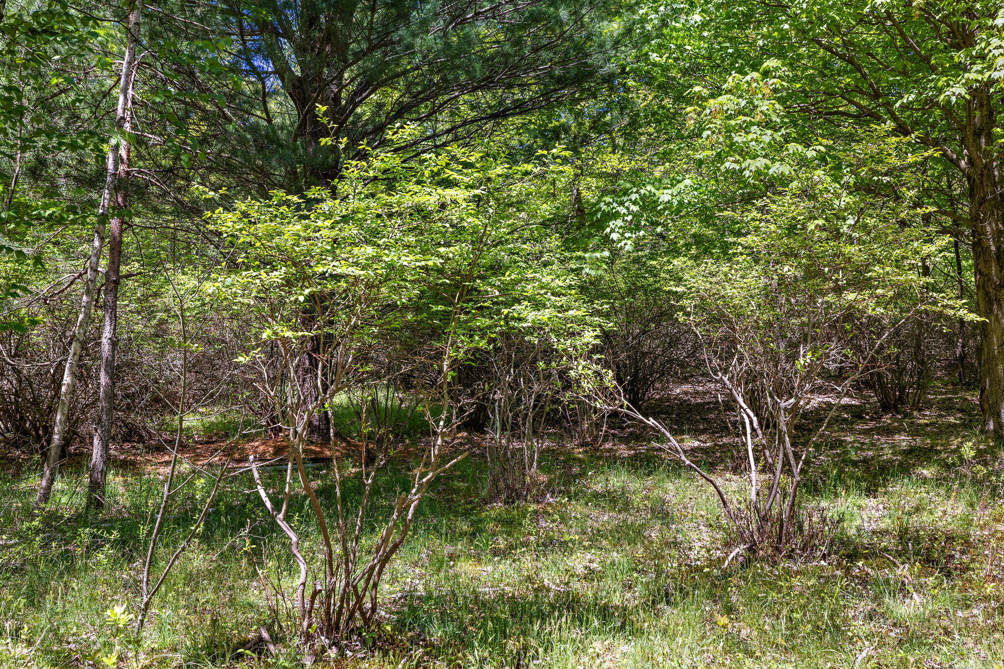 5579 Martin Road Norton Shores MI 49441