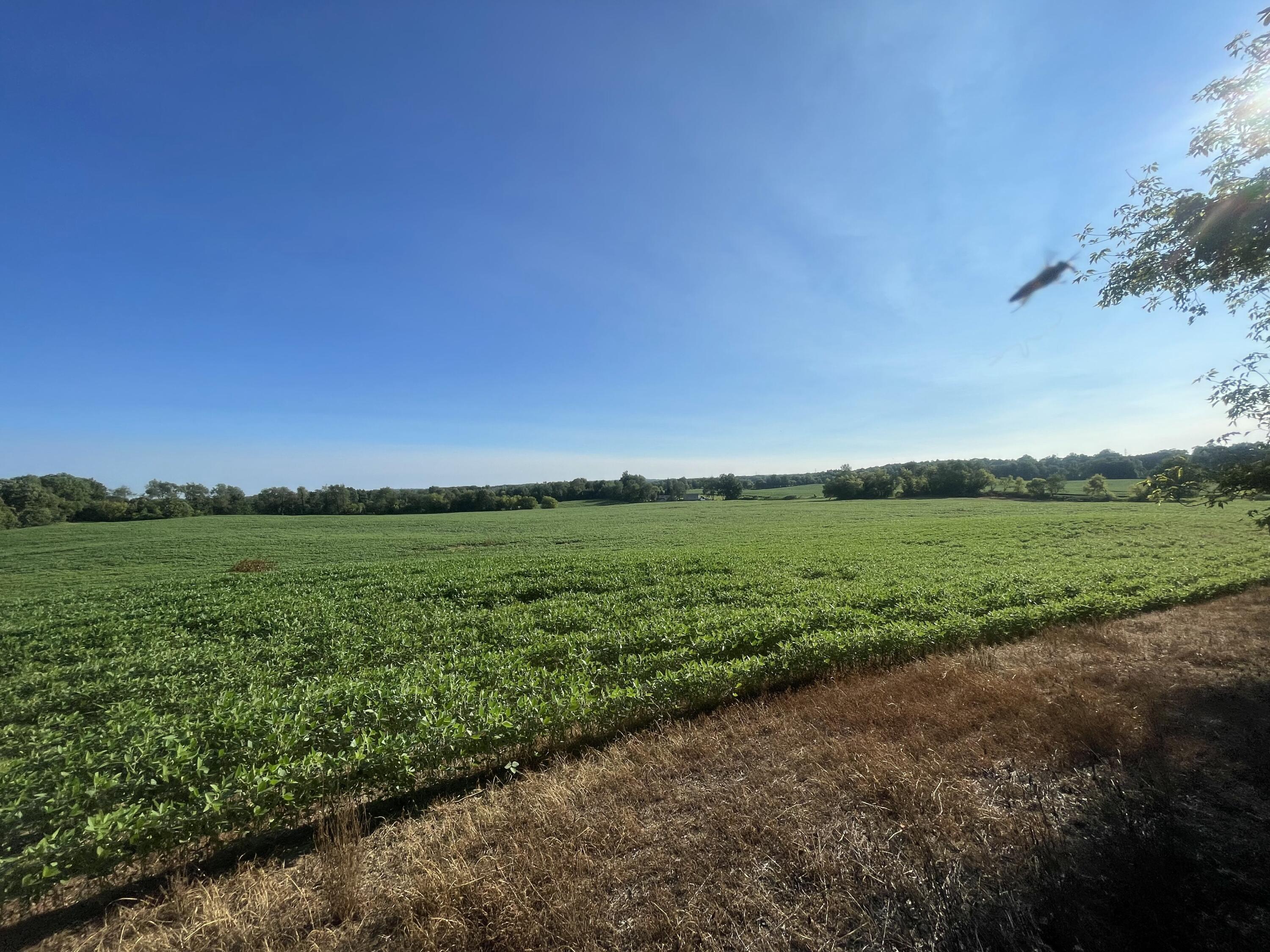 V/l Knight Road Marcellus MI 49067