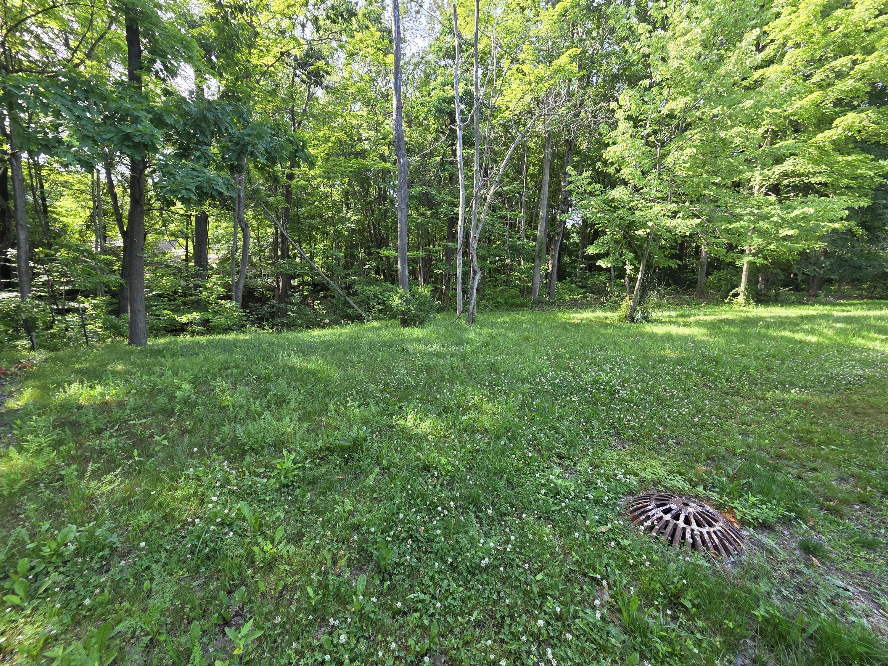 17643 Summerhill Lane New Buffalo MI 49117