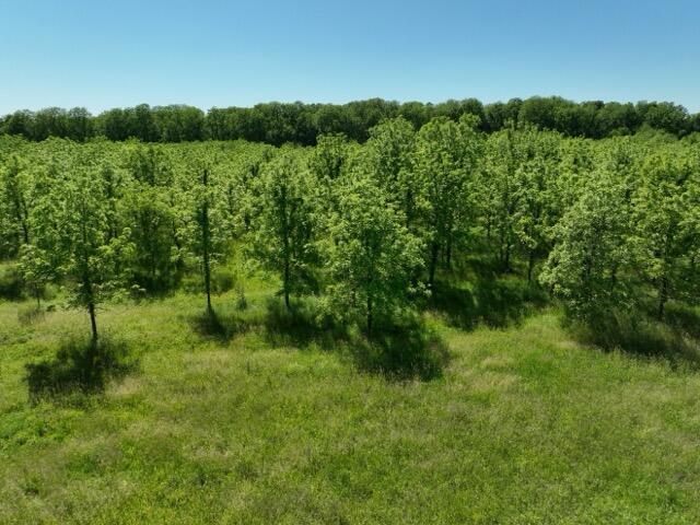 63531 Dailey Road Cassopolis MI 49031
