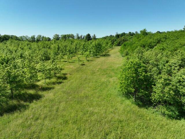 63531 Dailey Road Cassopolis MI 49031