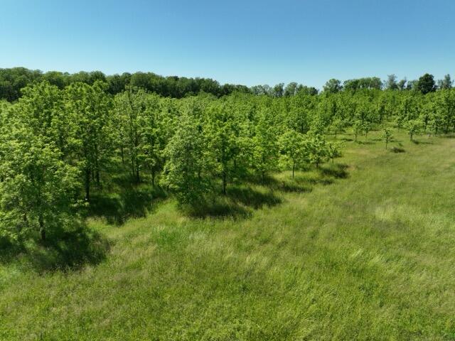 63531 Dailey Road Cassopolis MI 49031