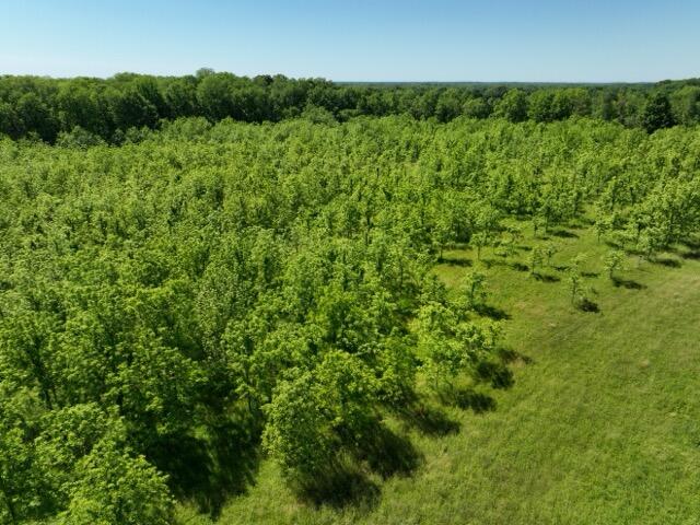 63531 Dailey Road Cassopolis MI 49031