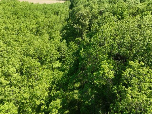 63531 Dailey Road Cassopolis MI 49031