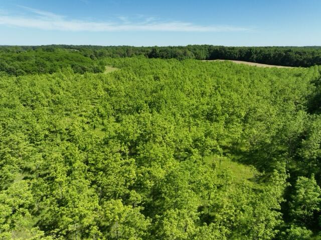 63531 Dailey Road Cassopolis MI 49031