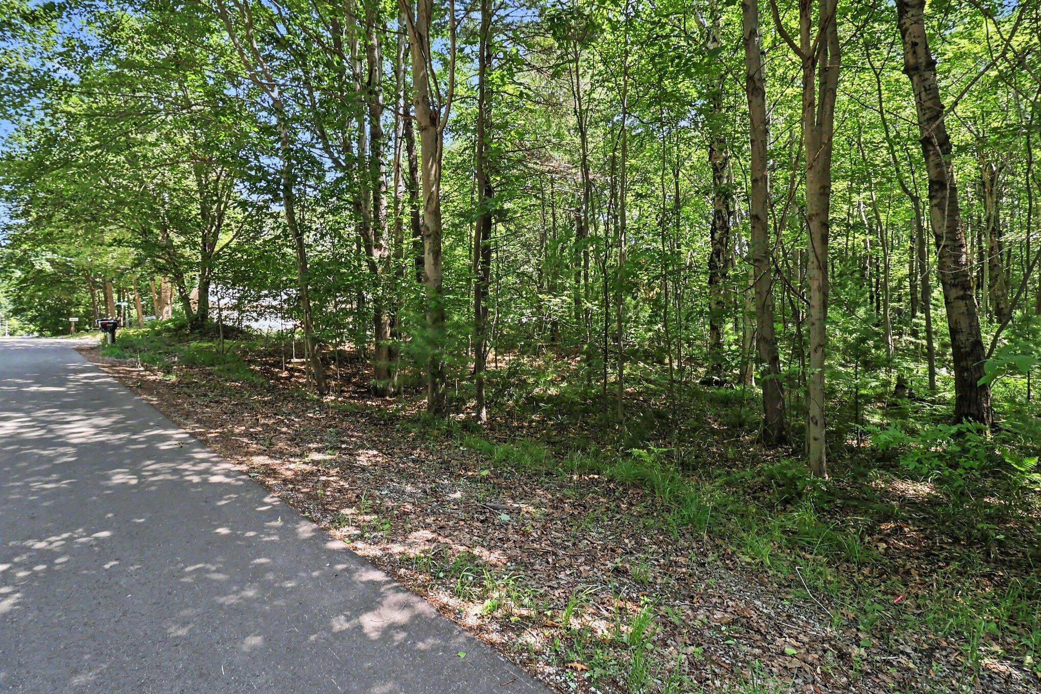 6733 W Basswood Street Ludington MI 49431