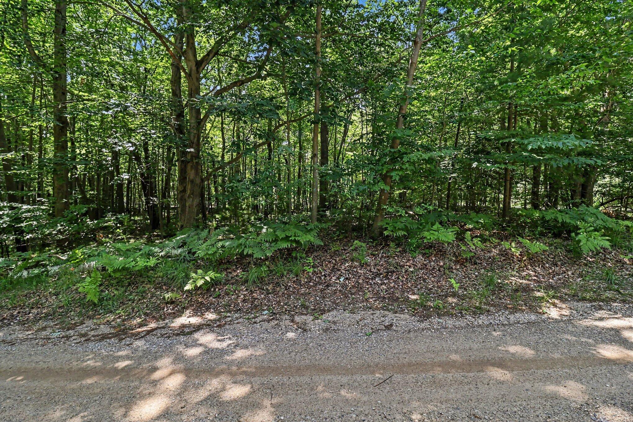 6733 W Basswood Street Ludington MI 49431