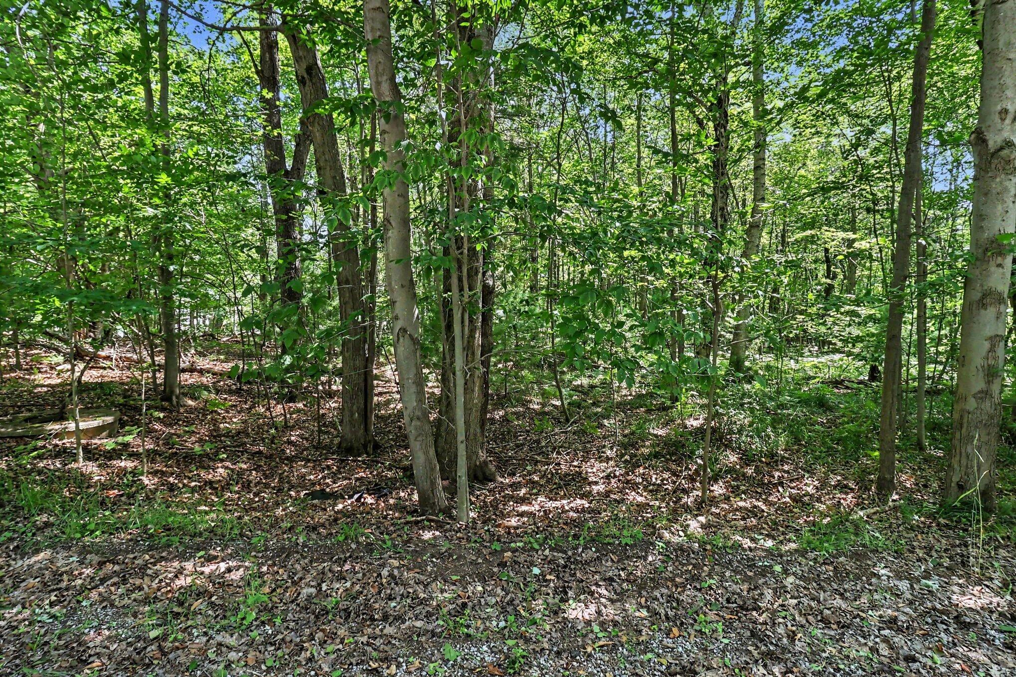 6733 W Basswood Street Ludington MI 49431