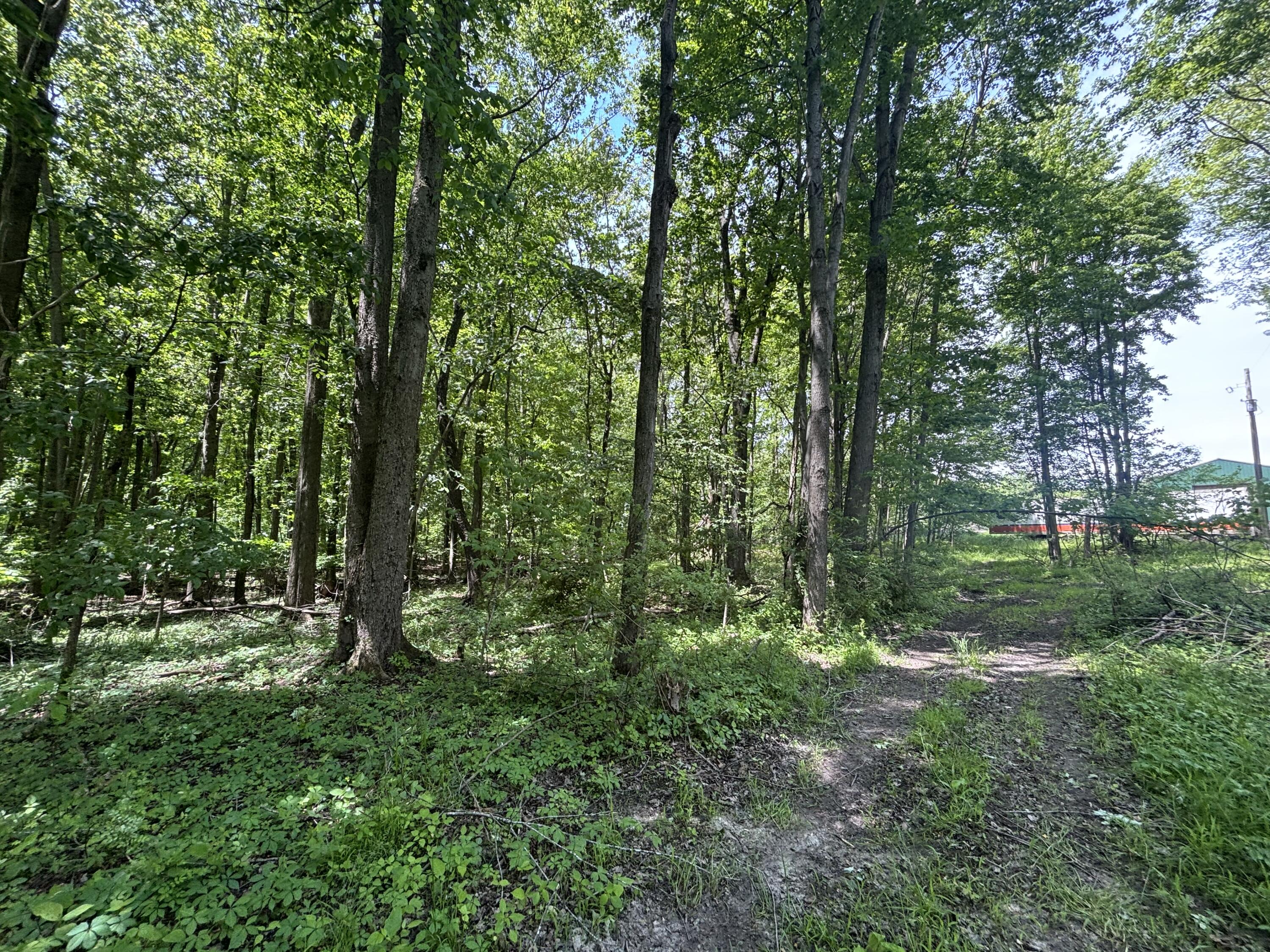 V/l 28.5a 104th Avenue Allegan MI 49010