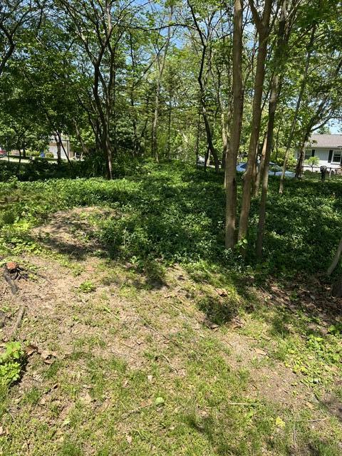2165 Radcliff Avenue SE Grand Rapids MI 49546