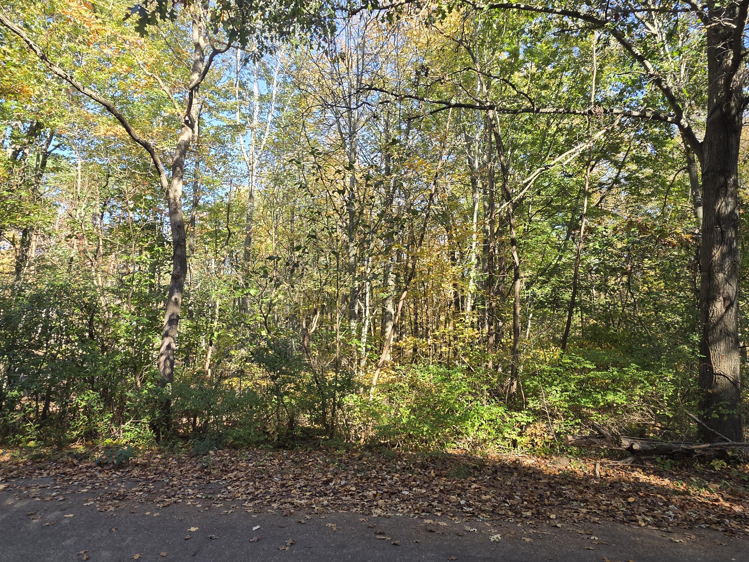 2831 Crescent Drive Fennville MI 49408