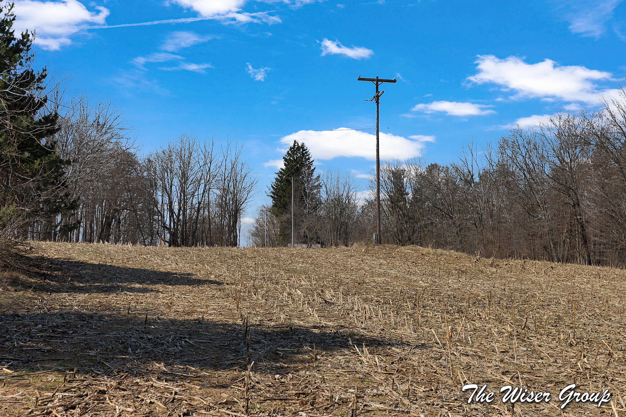 Parcels 1 & 2 Rector Street NE Rockford MI 49341