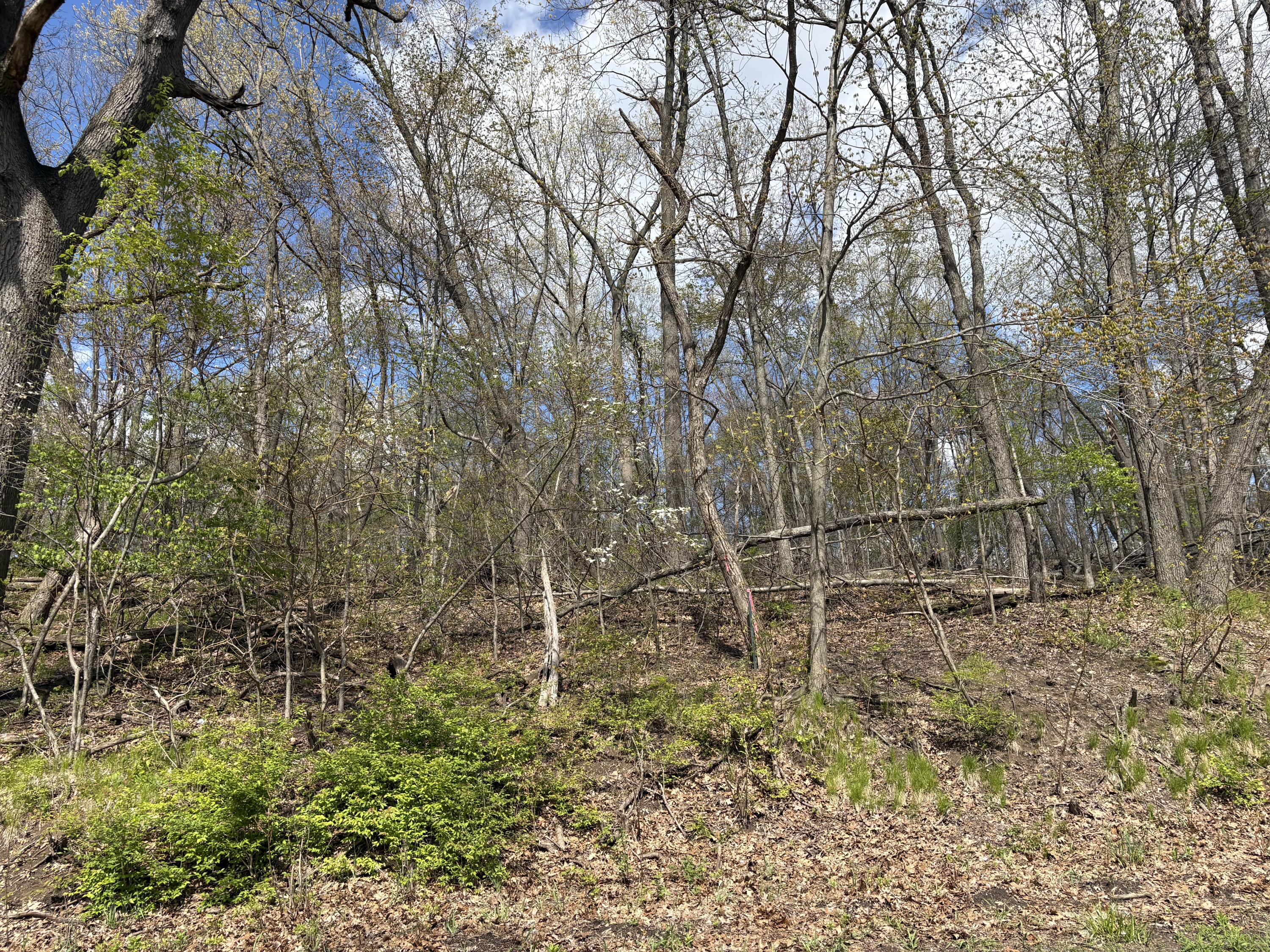 V/l Anderson Road Cassopolis MI 49031
