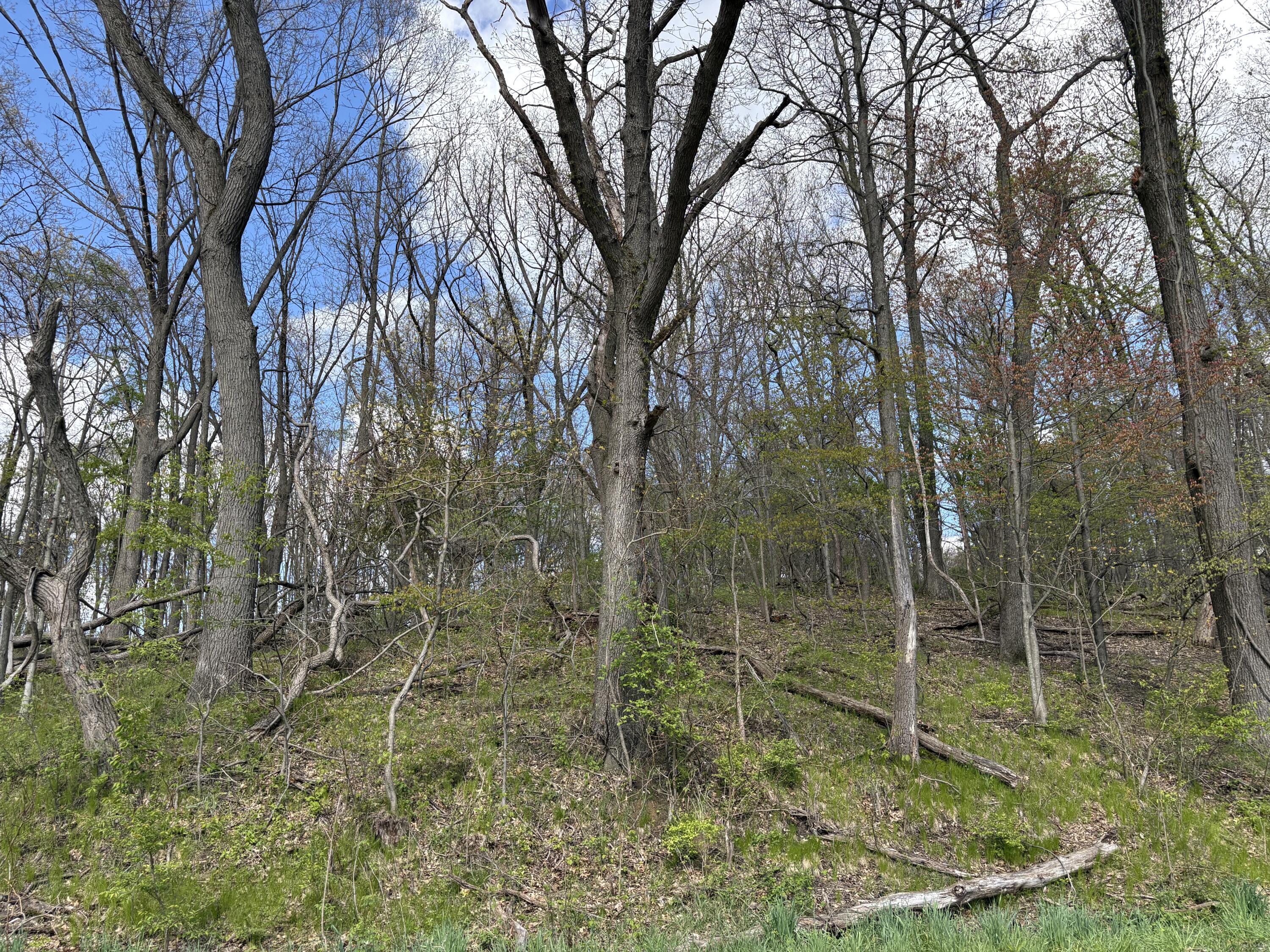 V/l Anderson Road Cassopolis MI 49031