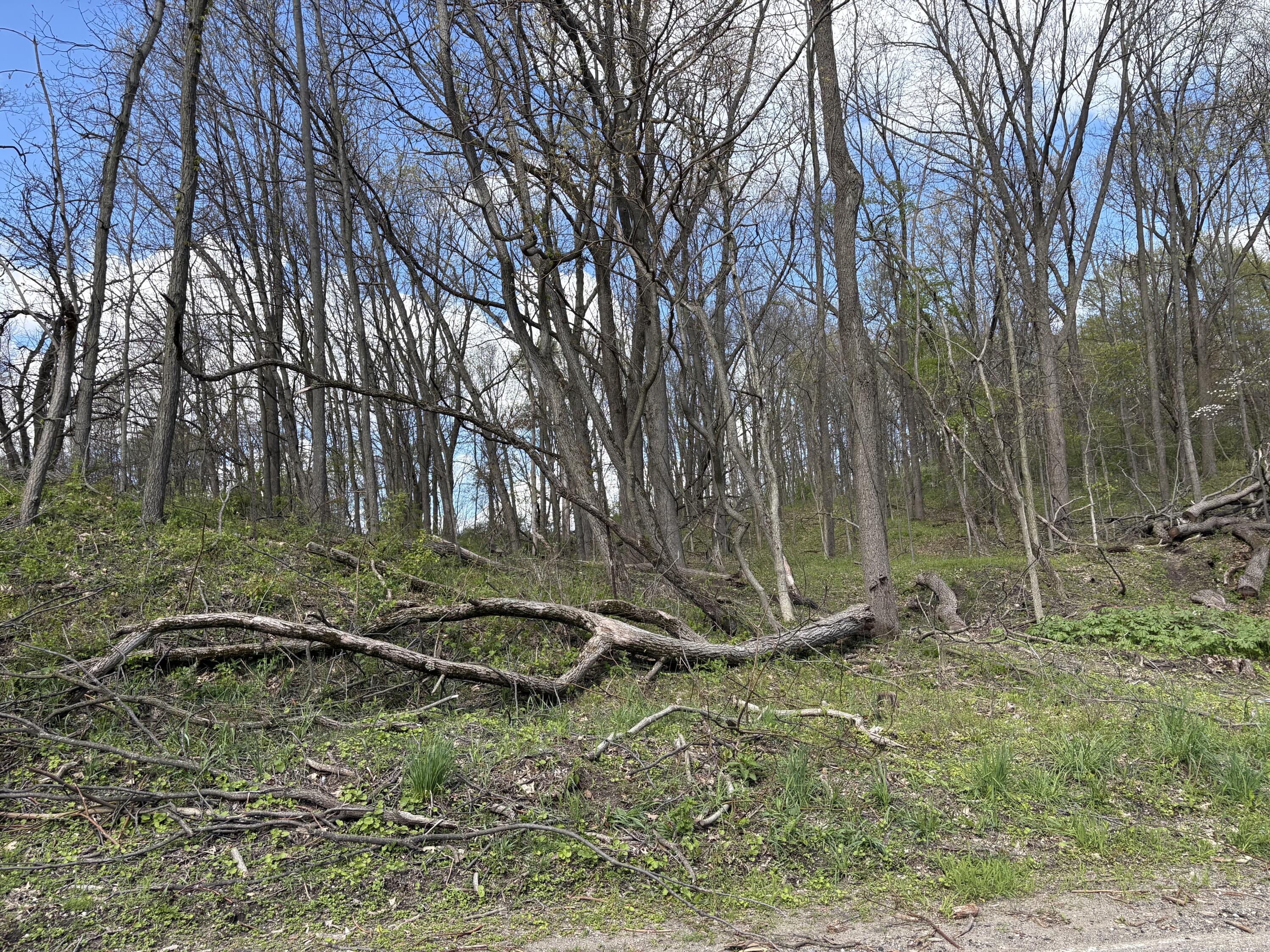 V/l Anderson Road Cassopolis MI 49031