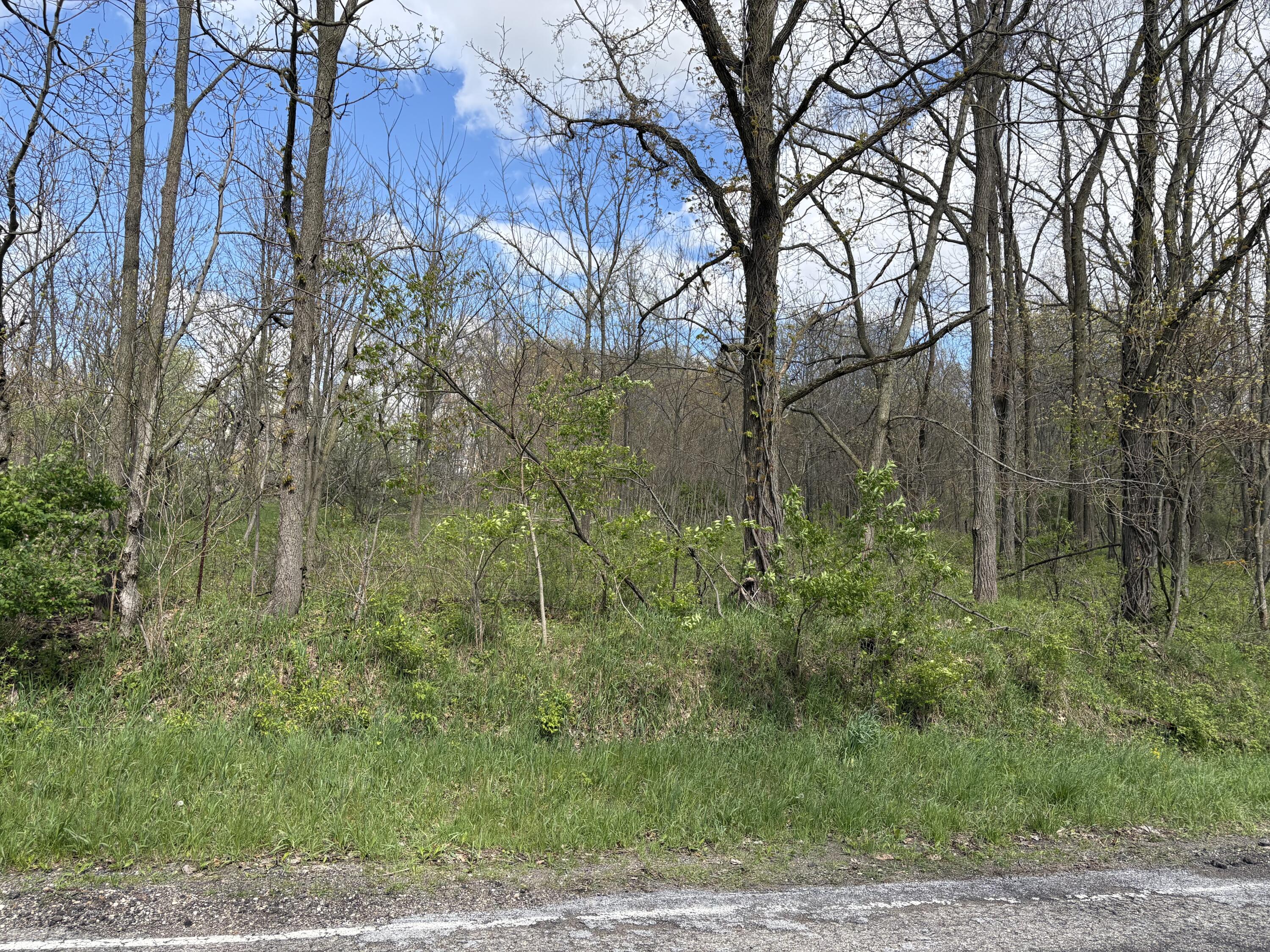 V/l Anderson Road Cassopolis MI 49031