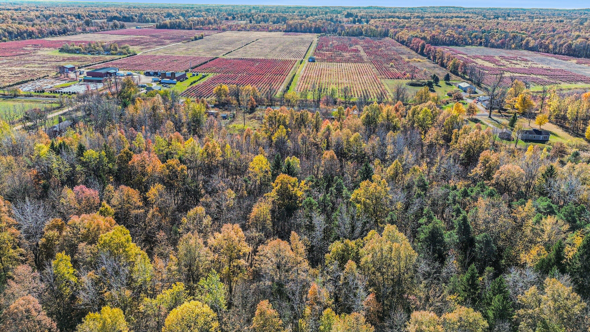 Ville 3.87ac. 24th Avenue Grand Junction MI 49056