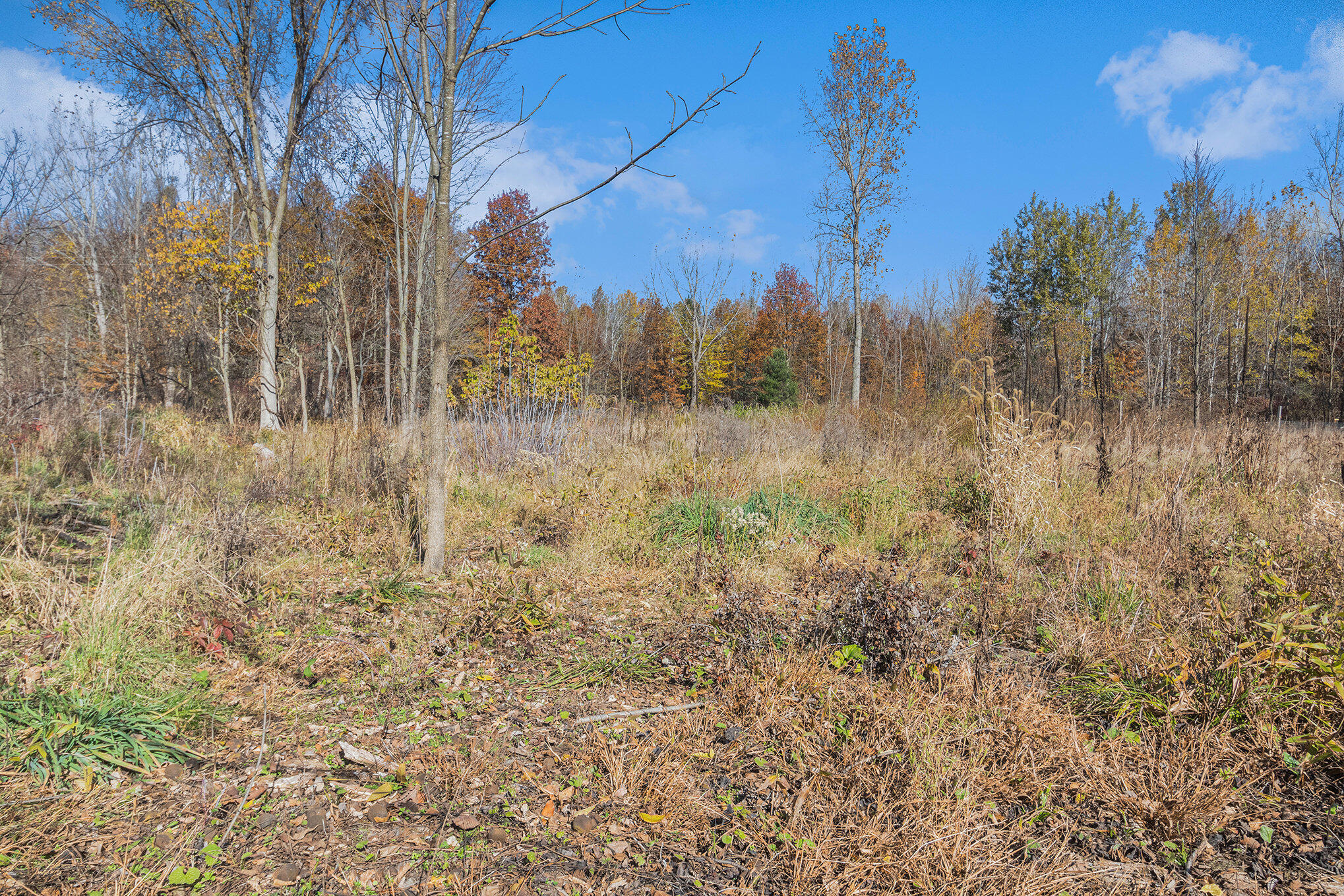 Ville 3.87ac. 24th Avenue Grand Junction MI 49056