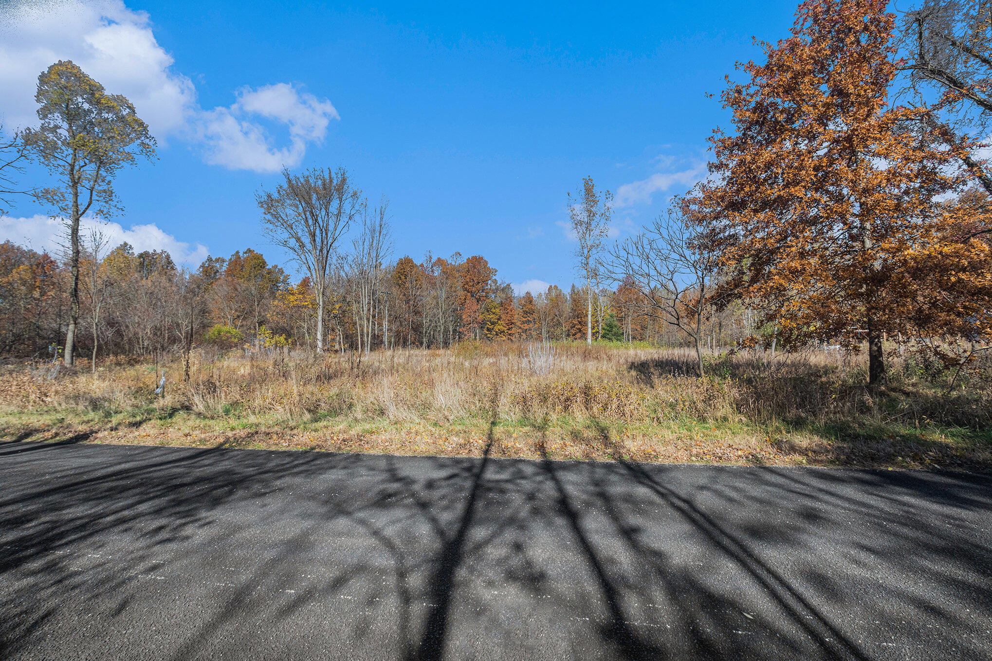 Ville 3.87ac. 24th Avenue Grand Junction MI 49056