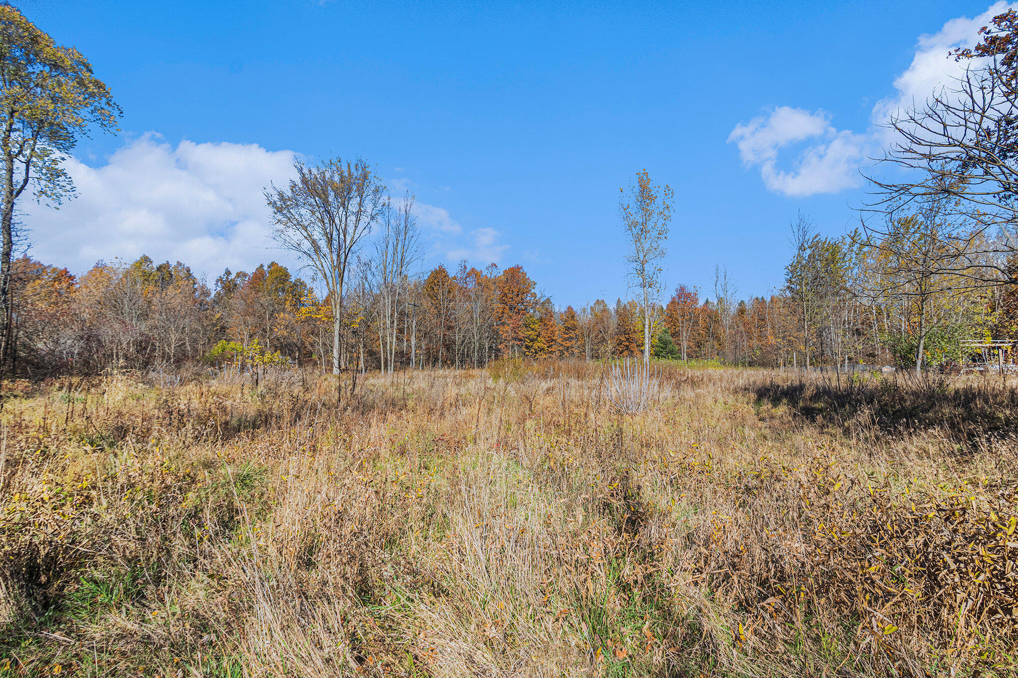 Ville 3.87ac. 24th Avenue Grand Junction MI 49056