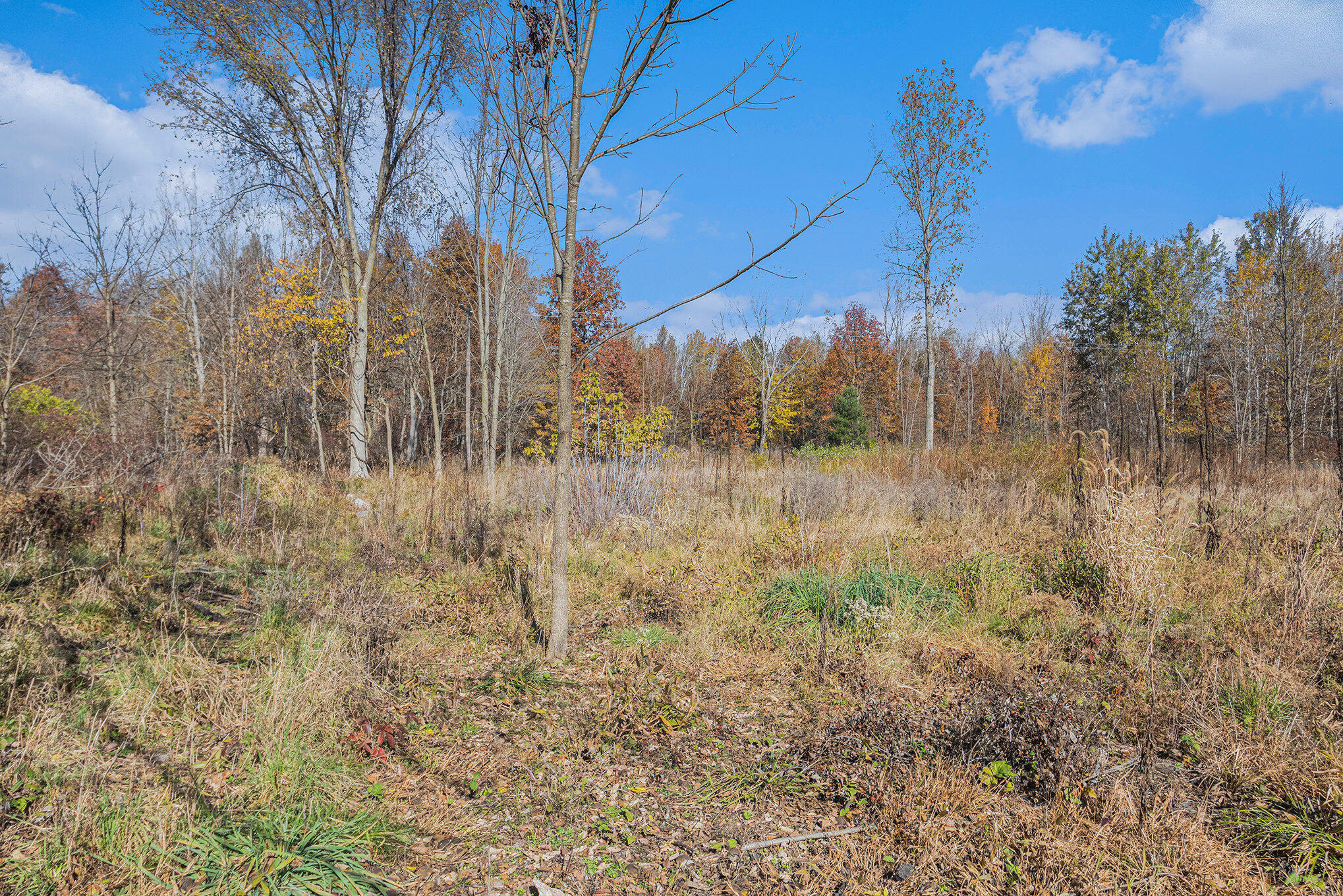 Ville 3.87ac. 24th Avenue Grand Junction MI 49056