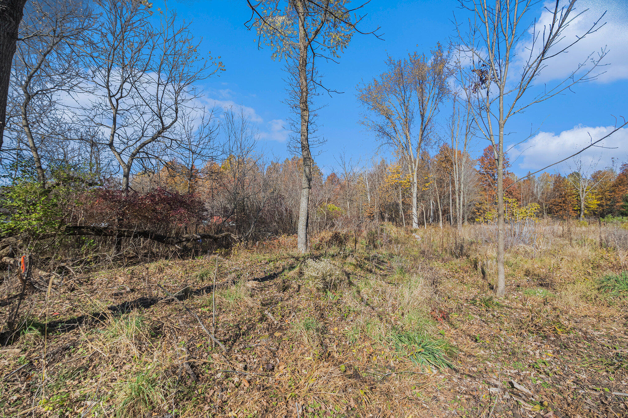 Ville 3.87ac. 24th Avenue Grand Junction MI 49056