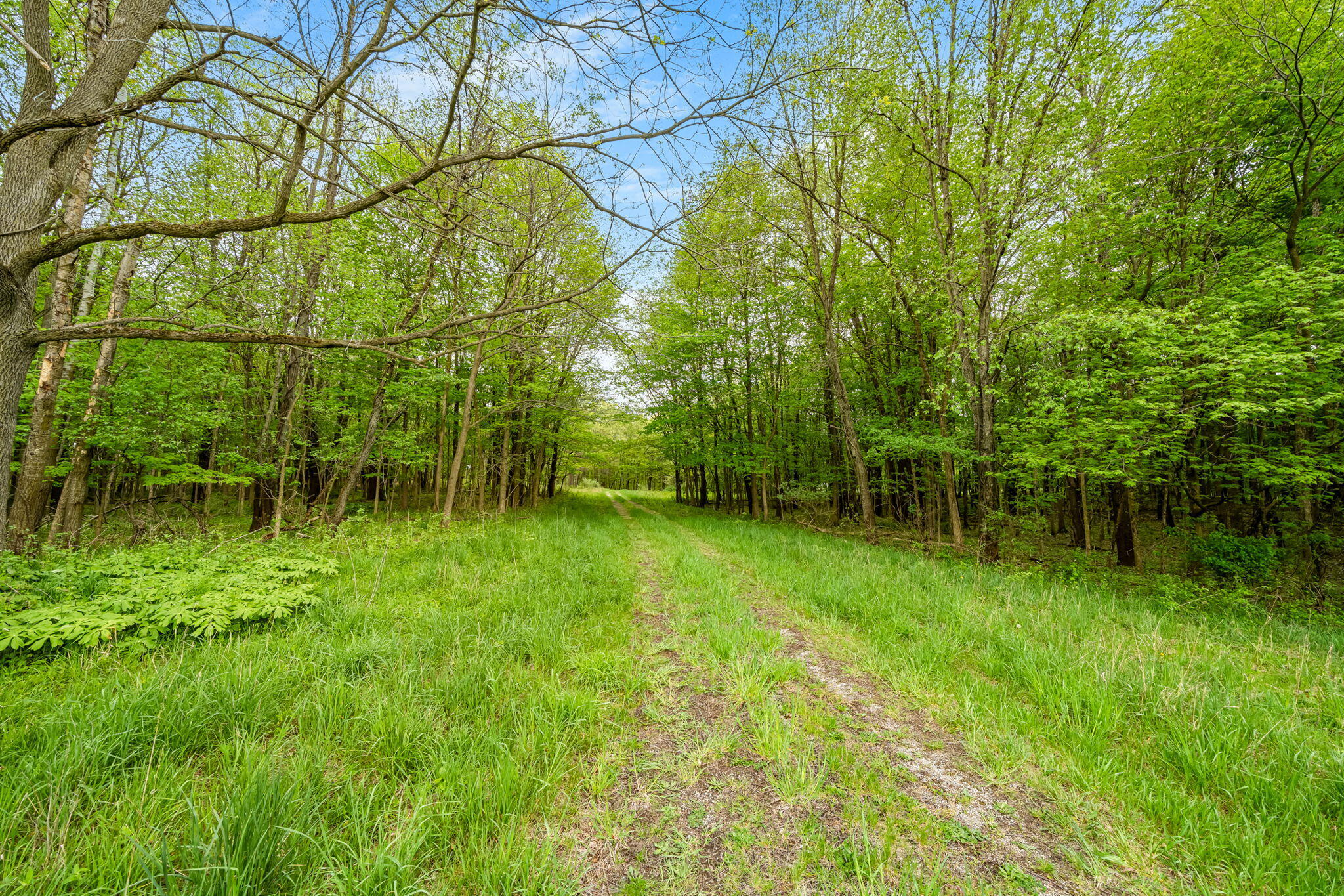 18731 Williamsville Street Cassopolis MI 49031
