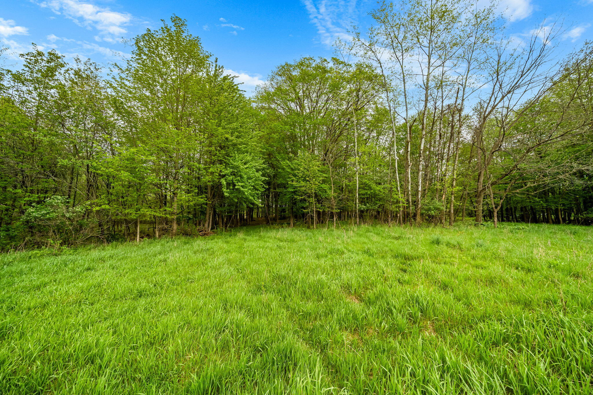 18731 Williamsville Street Cassopolis MI 49031