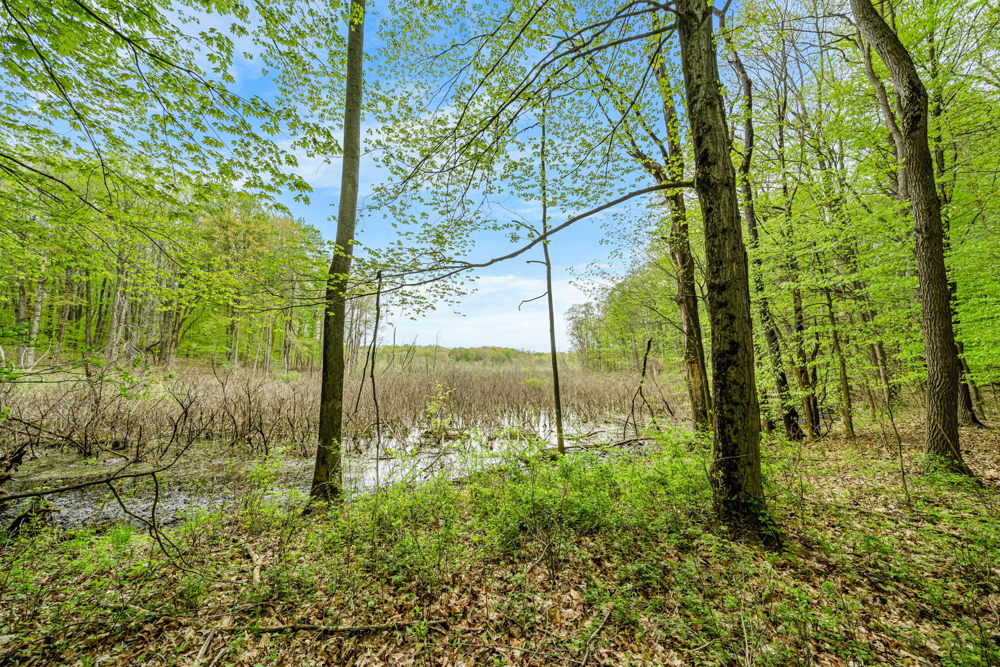 18731 Williamsville Street Cassopolis MI 49031