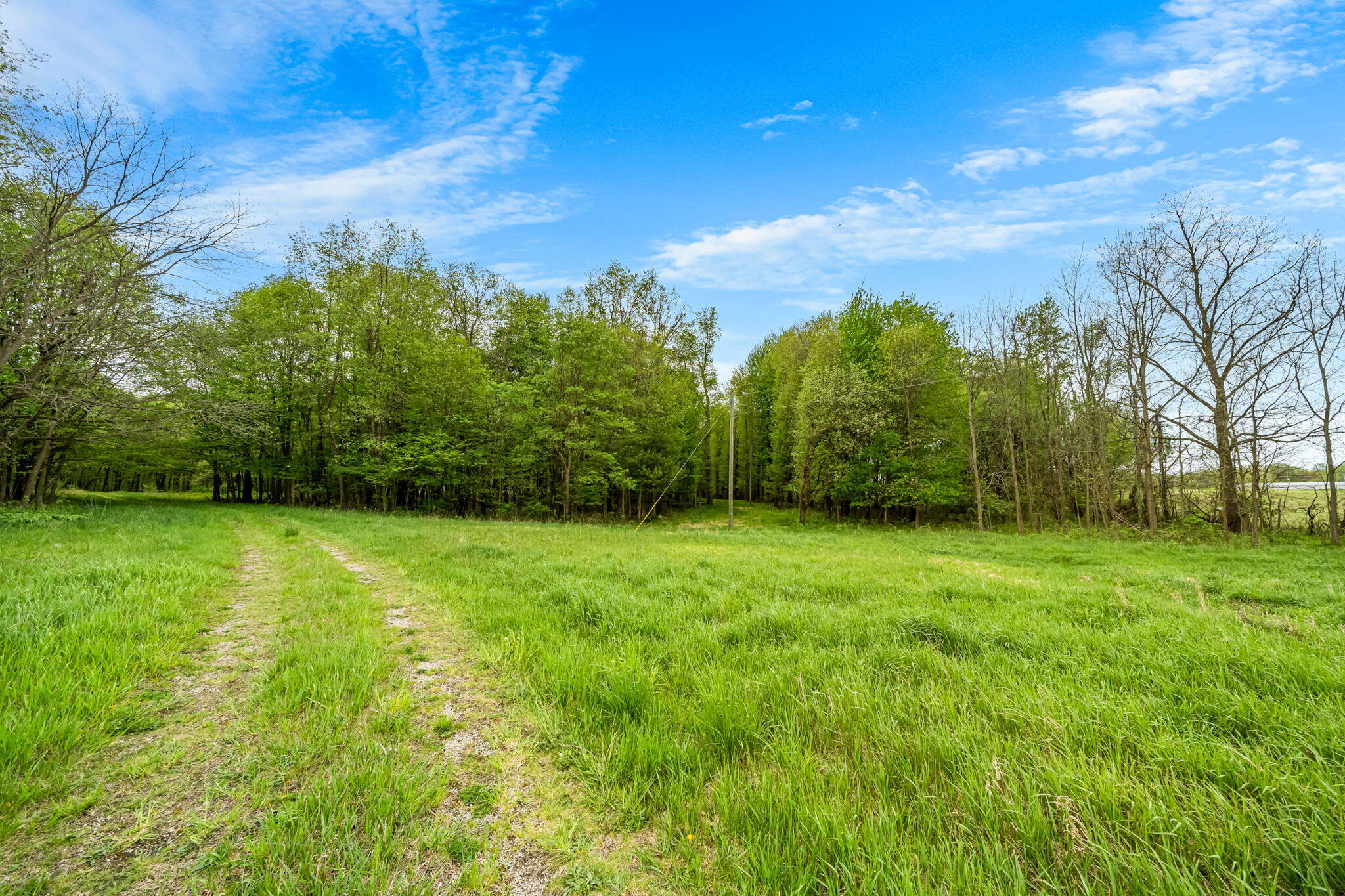 18731 Williamsville Street Cassopolis MI 49031