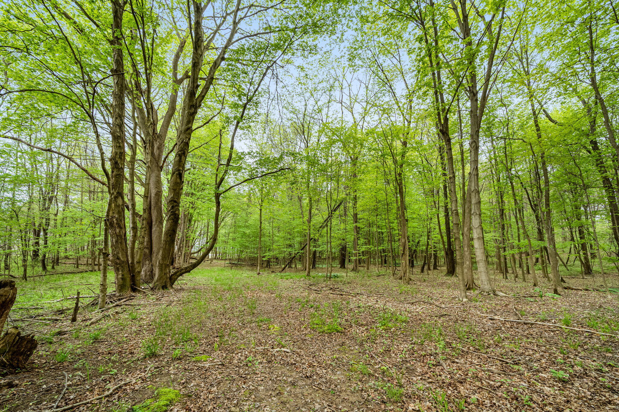 18731 Williamsville Street Cassopolis MI 49031