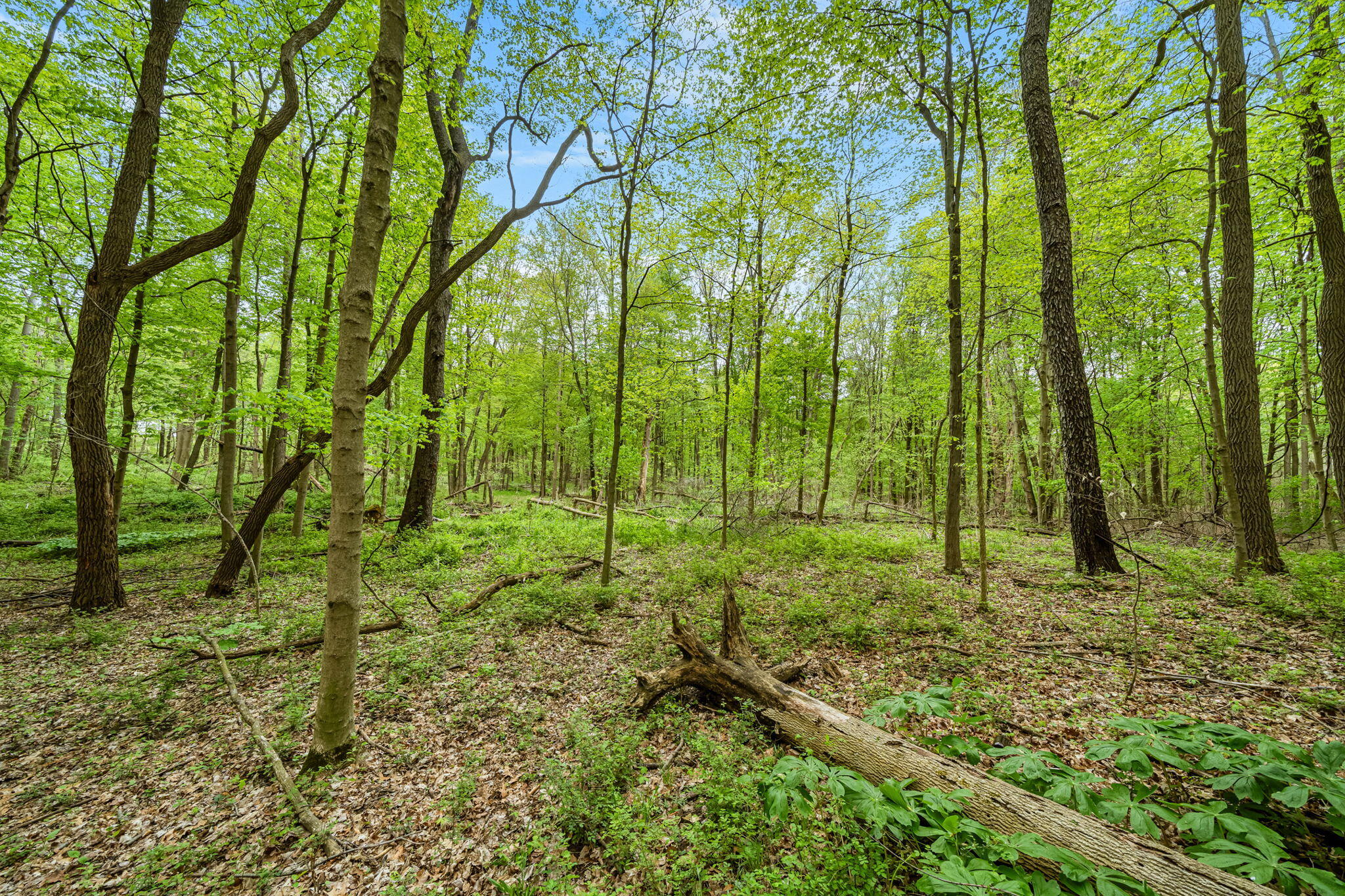 18731 Williamsville Street Cassopolis MI 49031