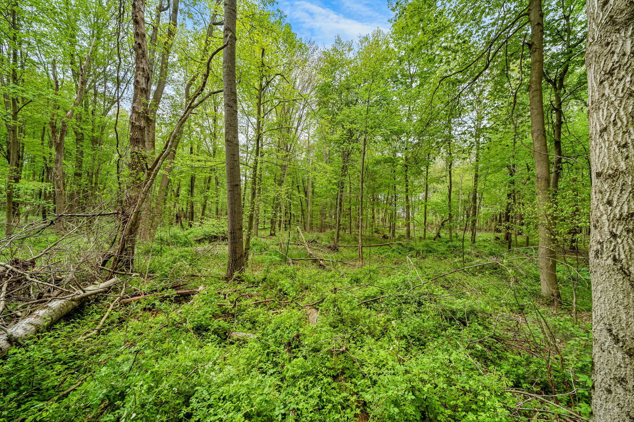 18731 Williamsville Street Cassopolis MI 49031