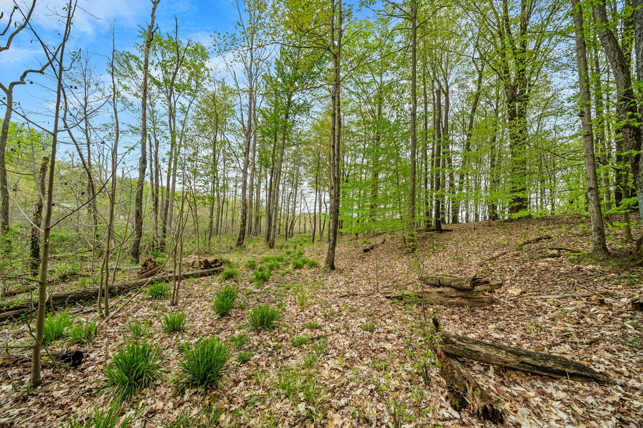 18731 Williamsville Street Cassopolis MI 49031